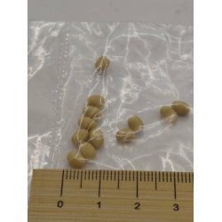 Kartofler eller �g (nye)