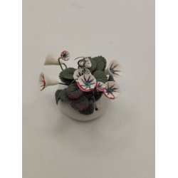 Urtepotte med blomster (brugt)