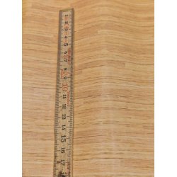 Gulv tapet (nyt) (nr 26543)