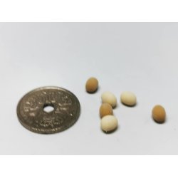 6 g til nisse eller dukkehus (nye)