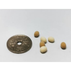 6 g til nisse eller dukkehus (nye)