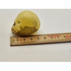 Skelet hoved i plastik (nyt)