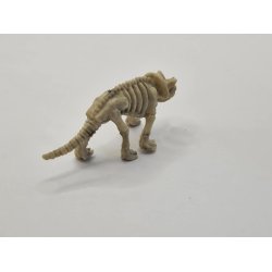 Dinosaurer skelet (brugt)