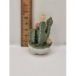 Kaktus i porceln (gammel)