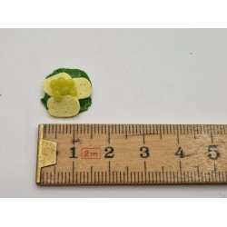 Smrrebrd med ost og vindruer (hndlavet)