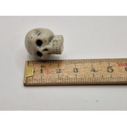 Skelet hoved i resin (nyt)