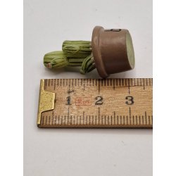 Kaktus i potte i keramik (brugt/som ny)