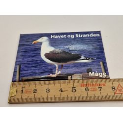 Billede/skilt. Havet og stranden. Magnet (brugt/som nyt) 8 x 5,4 cm