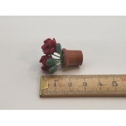 Roser i potte (brugt)