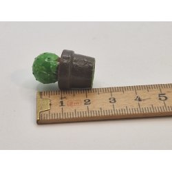 Kaktus i potte (brugt)