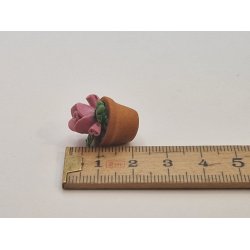 Rose i potte (brugt)