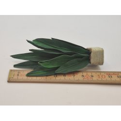 Svigermors skarpe tunge. Grn plante i potte (hndlavet)