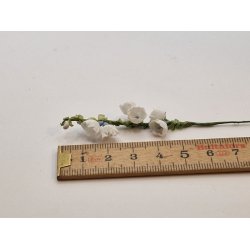 Gren med hvide blomster (ny)