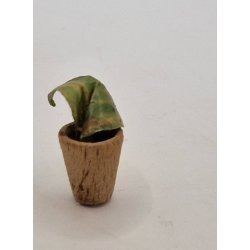 Grn plante i tr potte. Tysk