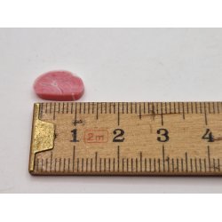 2 stk koteletter (hndlavet)