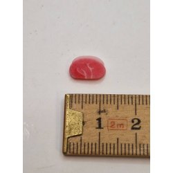 2 stk nakke koteletter (hndlavet) 