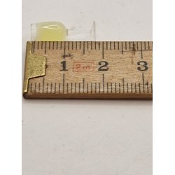 Champagne glas i plastik (nyt)