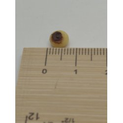 Fastelavnsbolle med chokolade glasur (h�ndlavet)