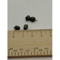 4 stk gr�n peber (nye)