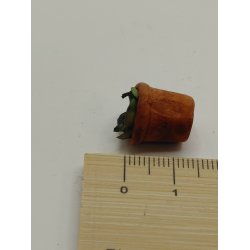 Sukkulent i terrakotta urtepotte (ny)