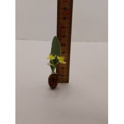 Blomster i vase (brugt)