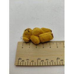 Plys bamse (ny)