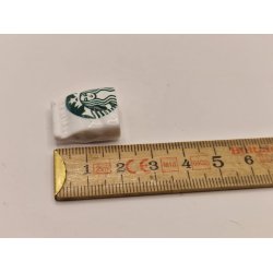 Starbucks pose i plastik (ny)