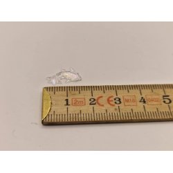 Meget lille fisk i plastik (ny)