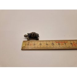 Skildpadde i porceln (ny)