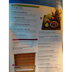 Dollhouse and miniature scene juni/09