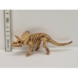 Triceratops skelet (1) (brugt)