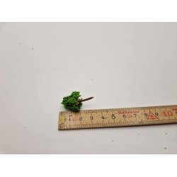 Tr (nyt) 5,5 til 3,5 cm