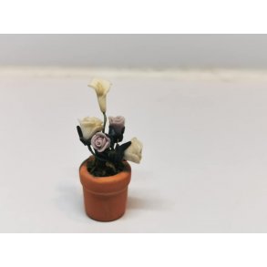 Blomster i potte (brugt)