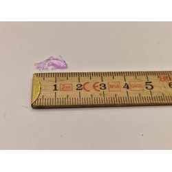 Meget lille fisk i plastik (ny)