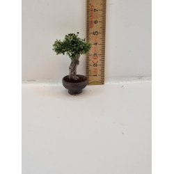 Kunstig bonsai tr (hndlavet)