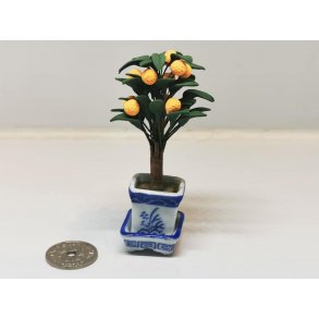 Potte med appelsin tr (nyt)