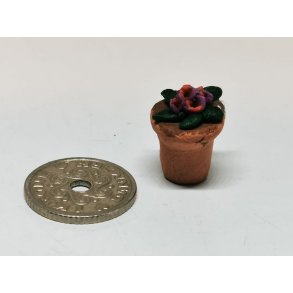 R�de blomster i potte (brugt)