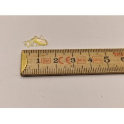 Meget lille fisk i plastik (ny)