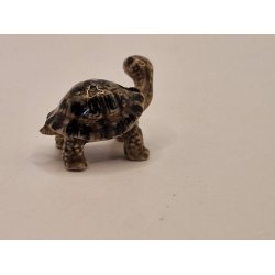 Skildpadde i porceln (ny)