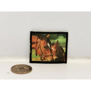 Billede af heste (brugt)