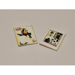 Alt for damerne blad (hndlavet)