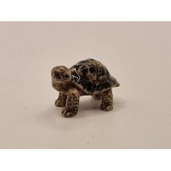 Skildpadde i porceln (ny)