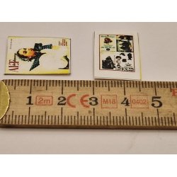 Alt for damerne blad (hndlavet)