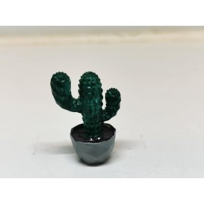 Kaktus i potte (ny)