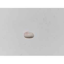 Hndsbe hvid  (hndlavet)