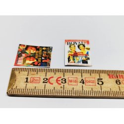 Billede bladet  (hndlavet)