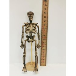 Miniature skelet i plastik (brugt)