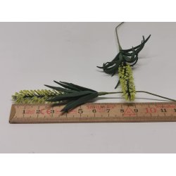 Blomster gren (brugt)