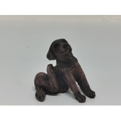 Hund der klr sig i resin (ny)