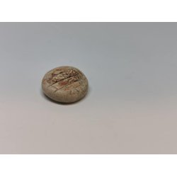 Brd eller mske en stor ost i resin (brugt)